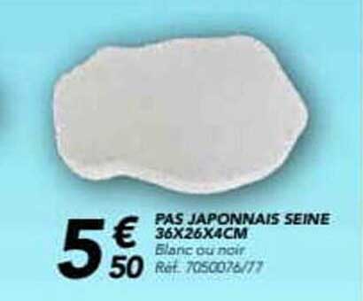 PAS JAPONNAIS SEINE 36X26X4CM