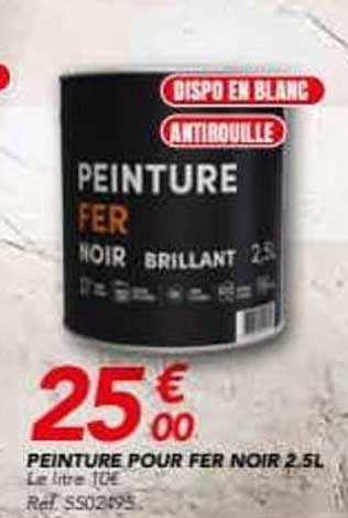 PEINTURE POUR FER NOIR 2.5L