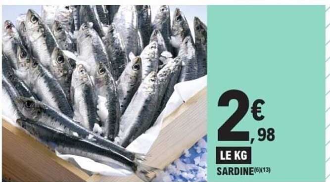 SARDINE (6/13) LE KG