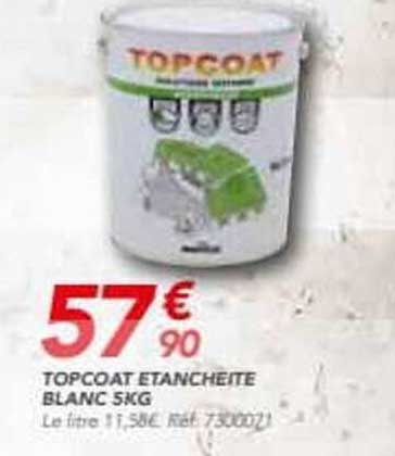 TOPCOAT ETANCHEITE BLANC 5KG