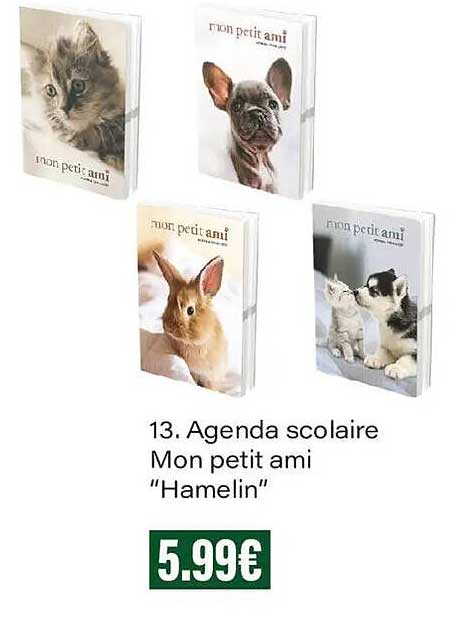 13. Agenda scolaire Mon petit ami “Hamelin”
