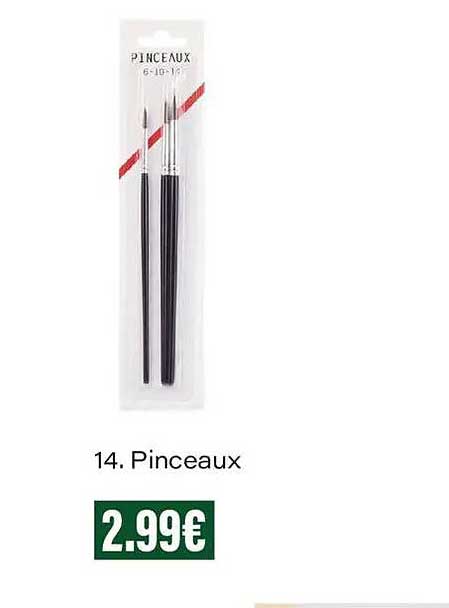 14. Pinceaux