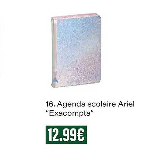16. Agenda scolaire Ariel “Exacompta”