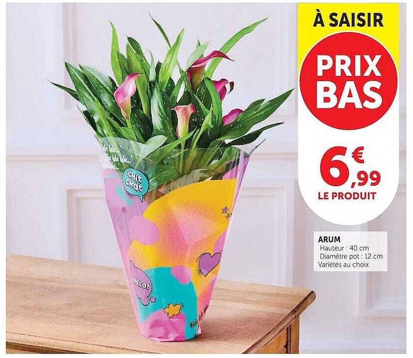 À SAISIR PRIX BAS