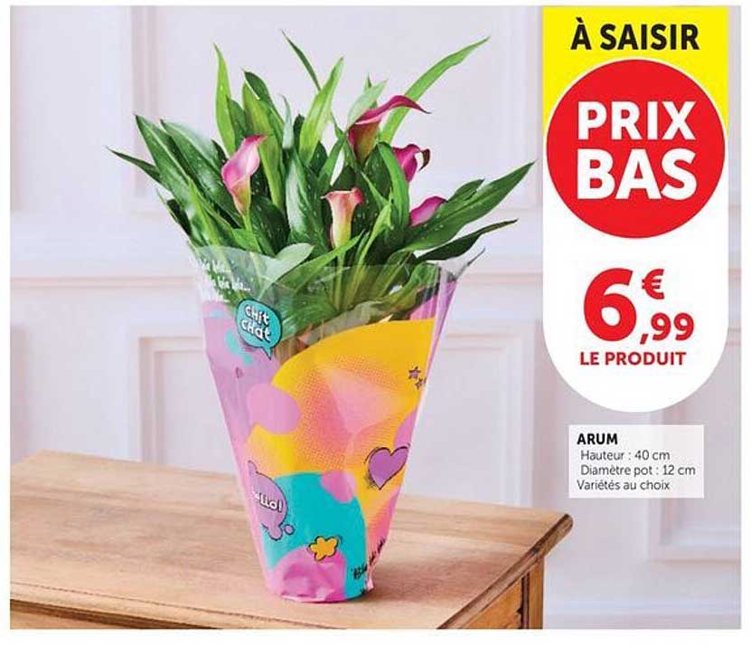 À SAISIR PRIX BAS