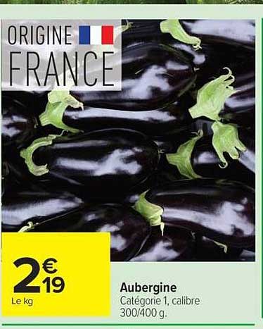 Aubergine