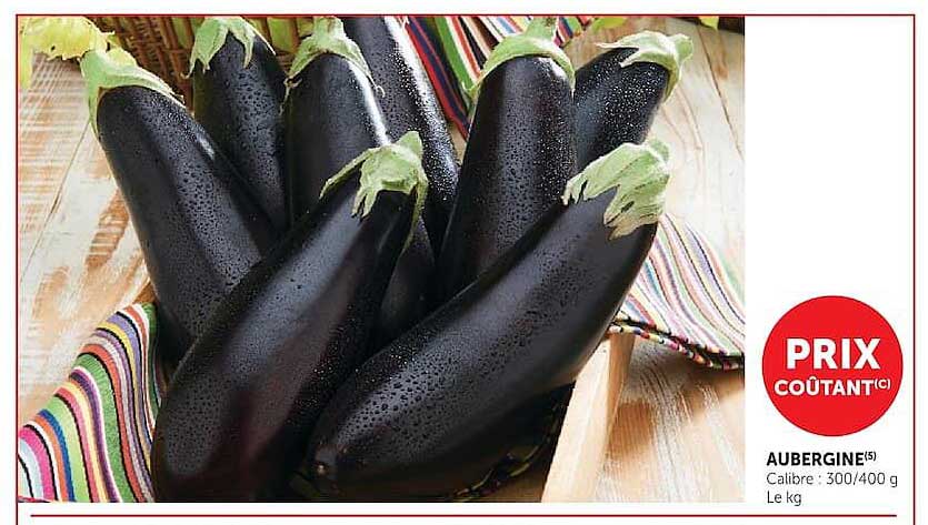 AUBERGINE(5)