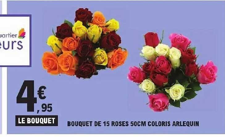 BOUQUET DE 15 ROSES 50CM COLORIS ARLEQUIN