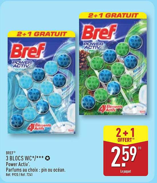 BREF 3 BLOCS WC*/*** Power Activ' - Parfums au choix : pin ou océan.