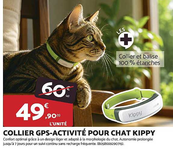 COLLIER GPS-ACTIVITÉ POUR CHAT KIPPY