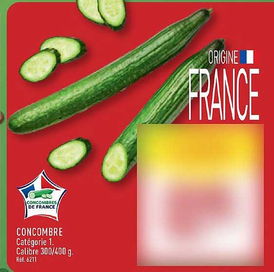 CONCOMBRE Catégorie 1. Calibre 300/400 g. Réf. 6211