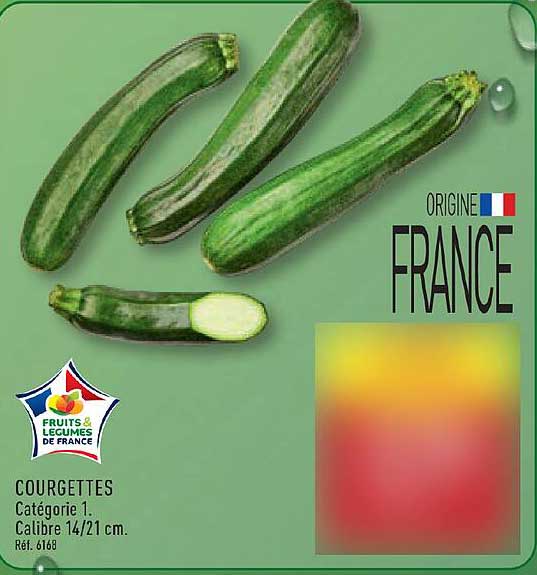 COURGETTES Catégorie 1. Calibre 14/21 cm.