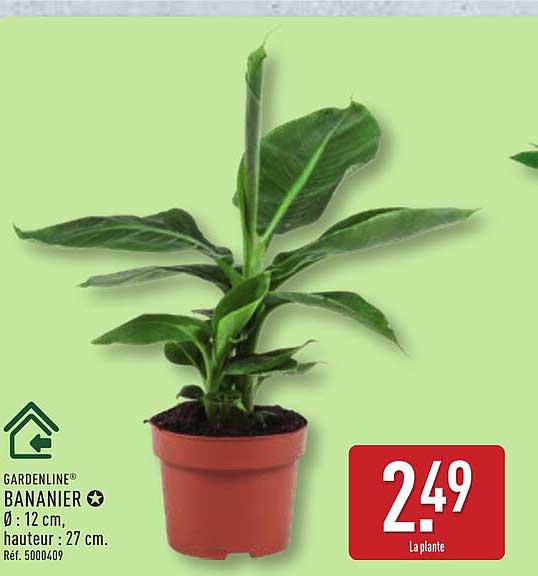 GARDENLINE® BANANIER