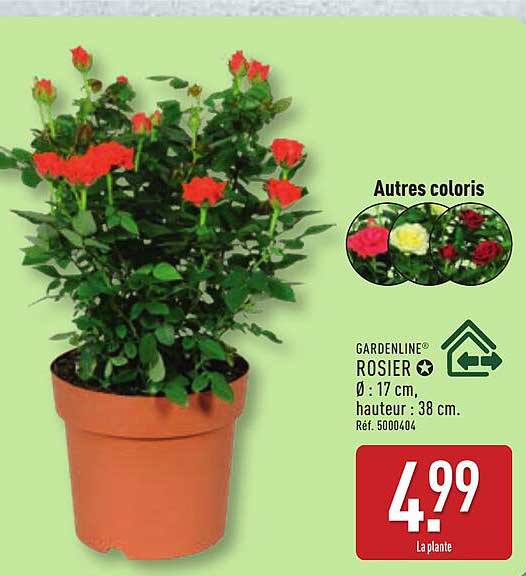 GARDENLINE ROSIER