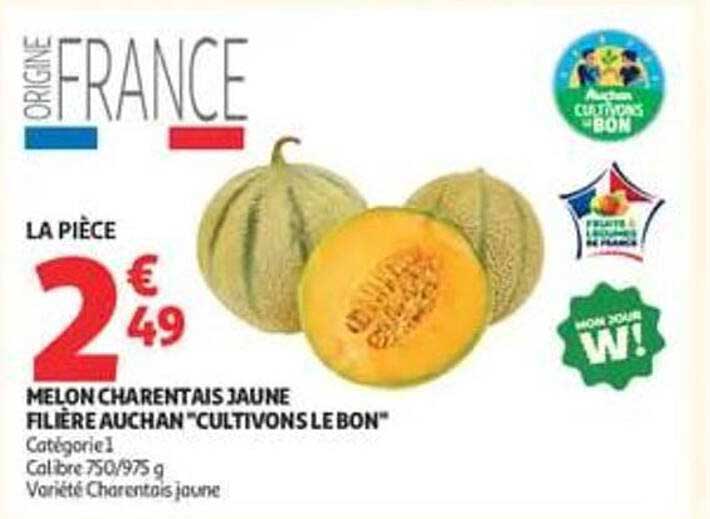 MELON CHARENTAIS JAUNE FILIERE AUCHAN "CULTIVONS LE BON"