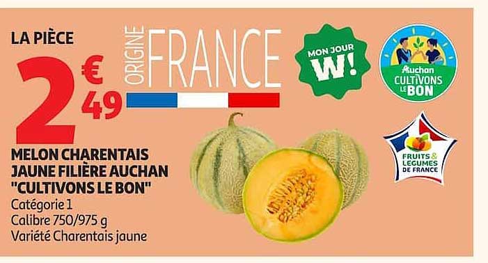 MELON CHARENTAIS JAUNE FILIÈRE AUCHAN "CULTIVONS LE BON"