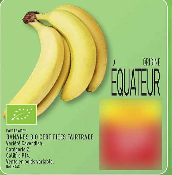ORIGINE ÉQUATEUR