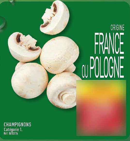 ORIGINE FRANCE OU POLOGNE