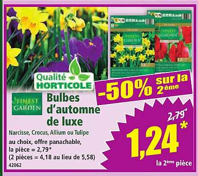 Bulbes d'automne de luxe