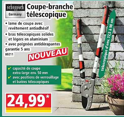 Coupe-branche télescopique