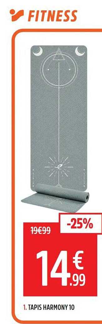 1. TAPIS HARMONY 10
