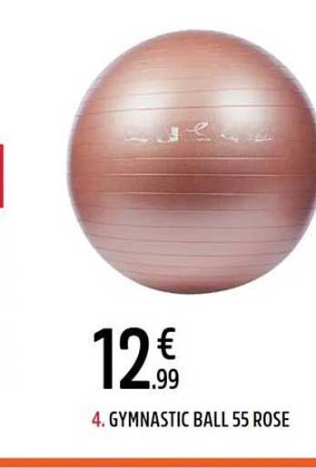 4. GYMNASTIC BALL 55 ROSE