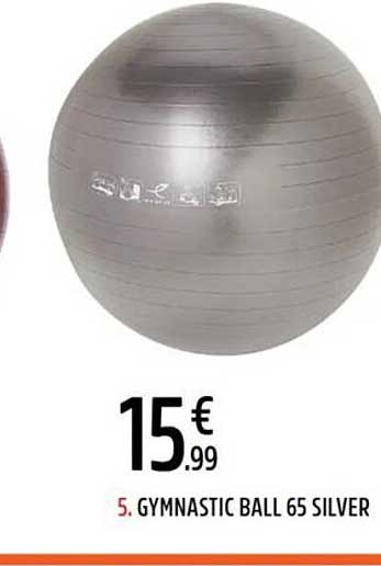 5. GYMNASTIC BALL 65 SILVER