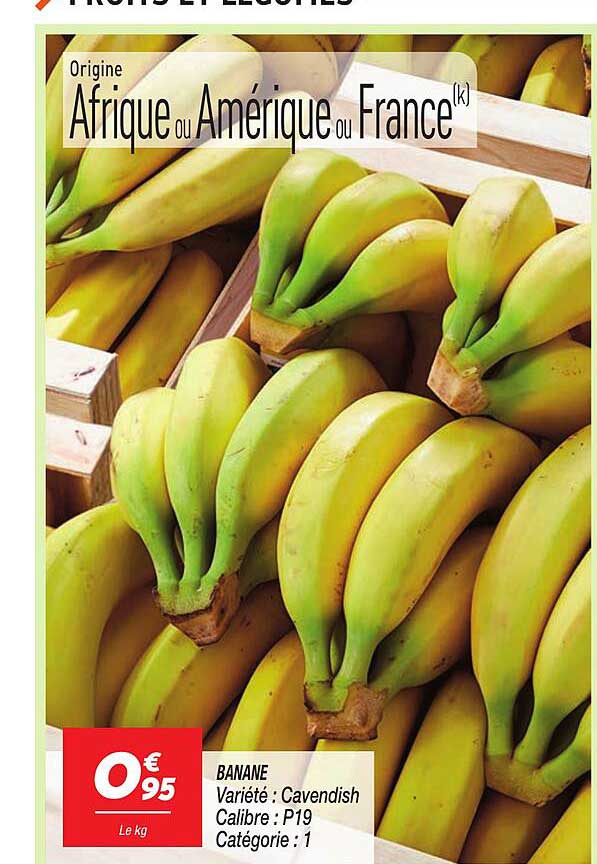 BANANE Variété : Cavendish Calibre : P19 Catégorie : 1