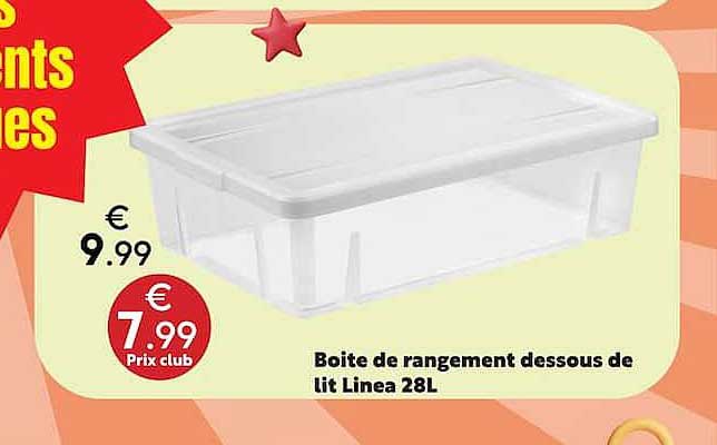 Boîte de rangement dessous de lit Linea 28L