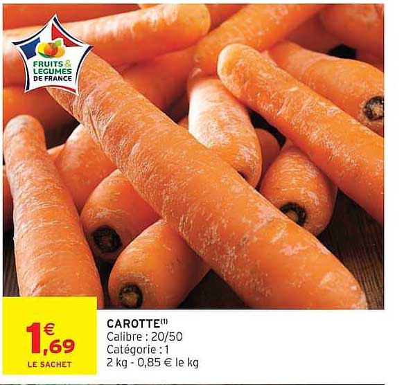 CAROTTE