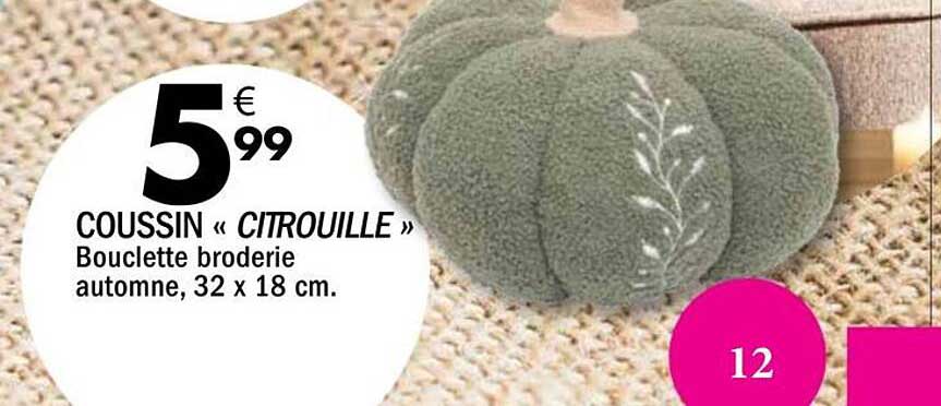 COUSSIN « CITROUILLE » Bouclette broderie automne, 32 x 18 cm.