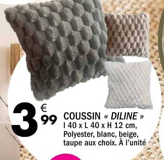 COUSSIN « DILINE »