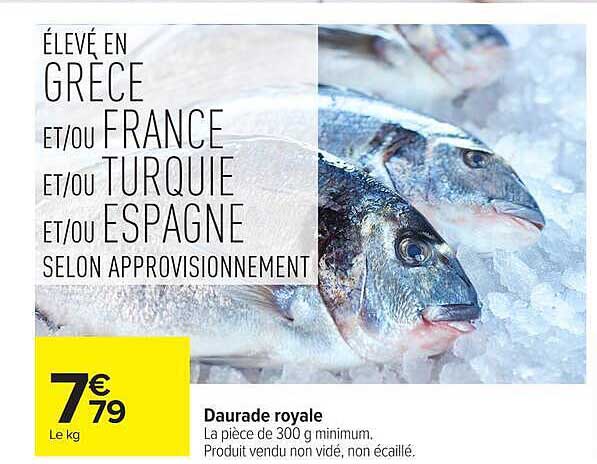 Daurade royale