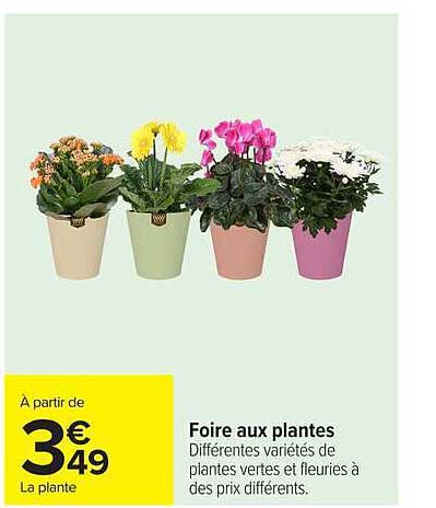 Foire aux plantes
