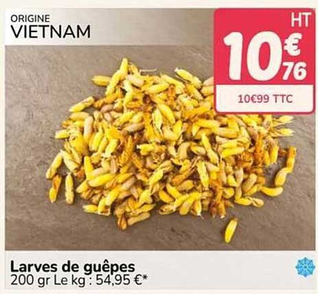 Larves de guêpes