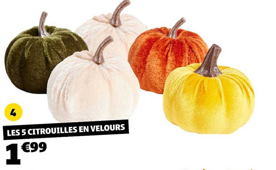 LES 5 CITROUILLES EN VELOURS