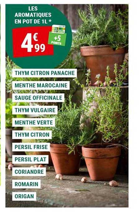 LES AROMATIQUES EN POT DE 1L *