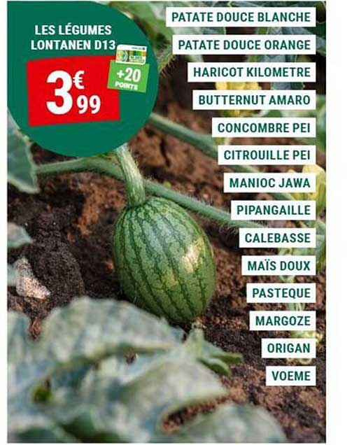 LES LÉGUMES LONTANEN D13