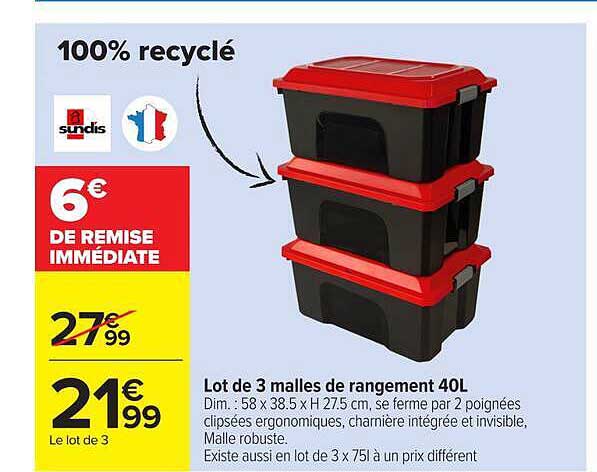 Lot de 3 malles de rangement 40L