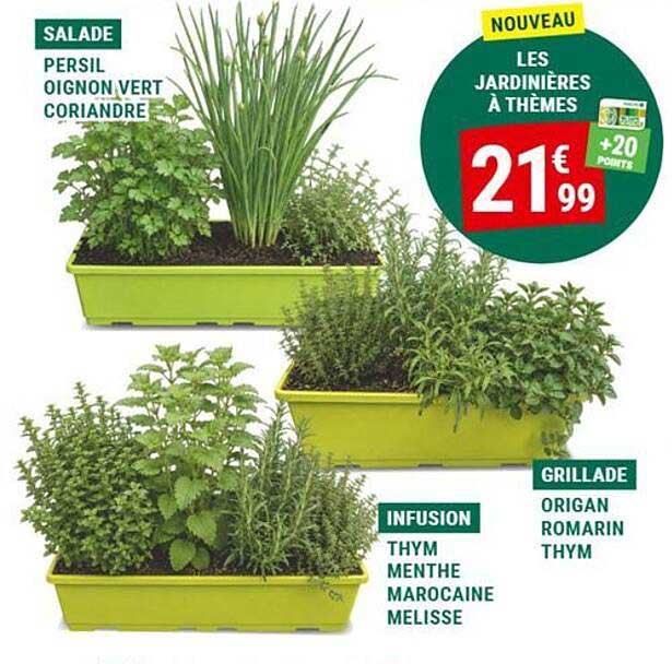 NOUVEAU LES JARDINIÈRES À THÈMES