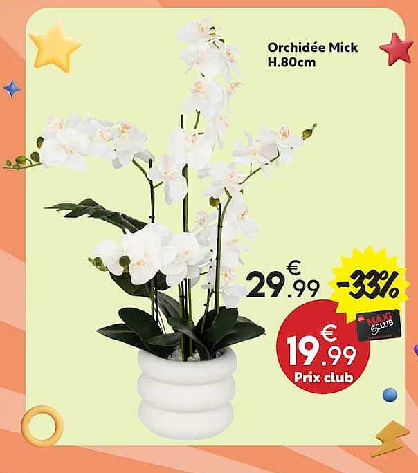 Orchidée Mick H.80cm
