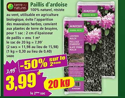 Paillis d'ardoise