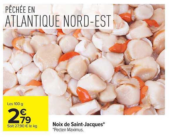 PÊCHÉE EN ATLANTIQUE NORD-EST