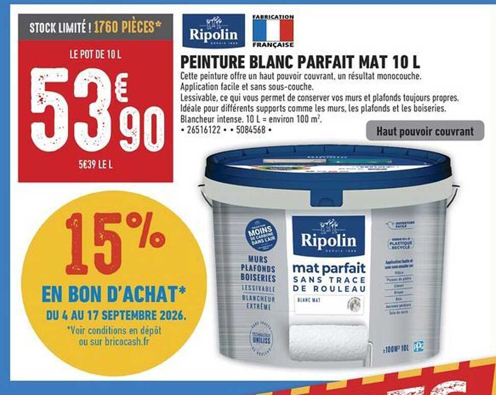 PEINTURE BLANC PARFAIT MAT 10 L