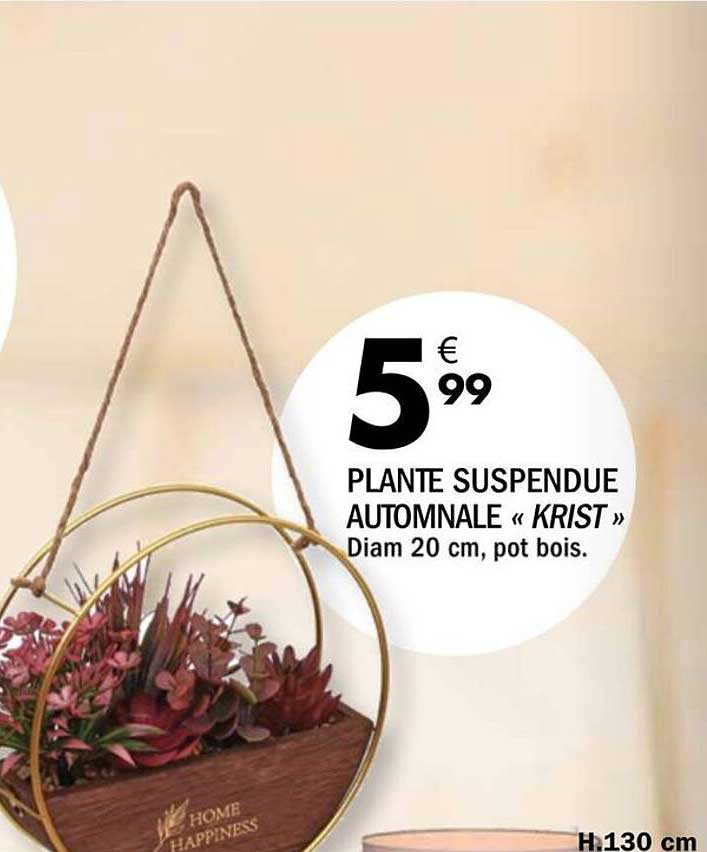 PLANTE SUSPENDUE AUTOMNALE « KRIST »