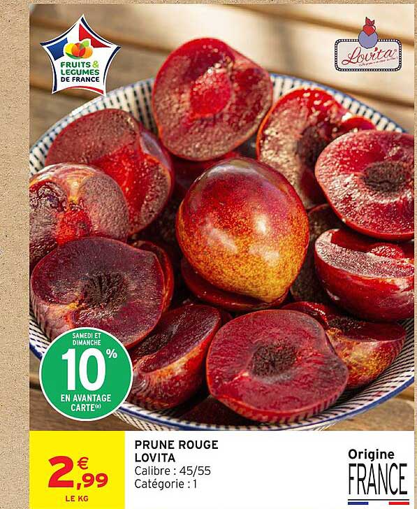 PRUNE ROUGE LOVITA