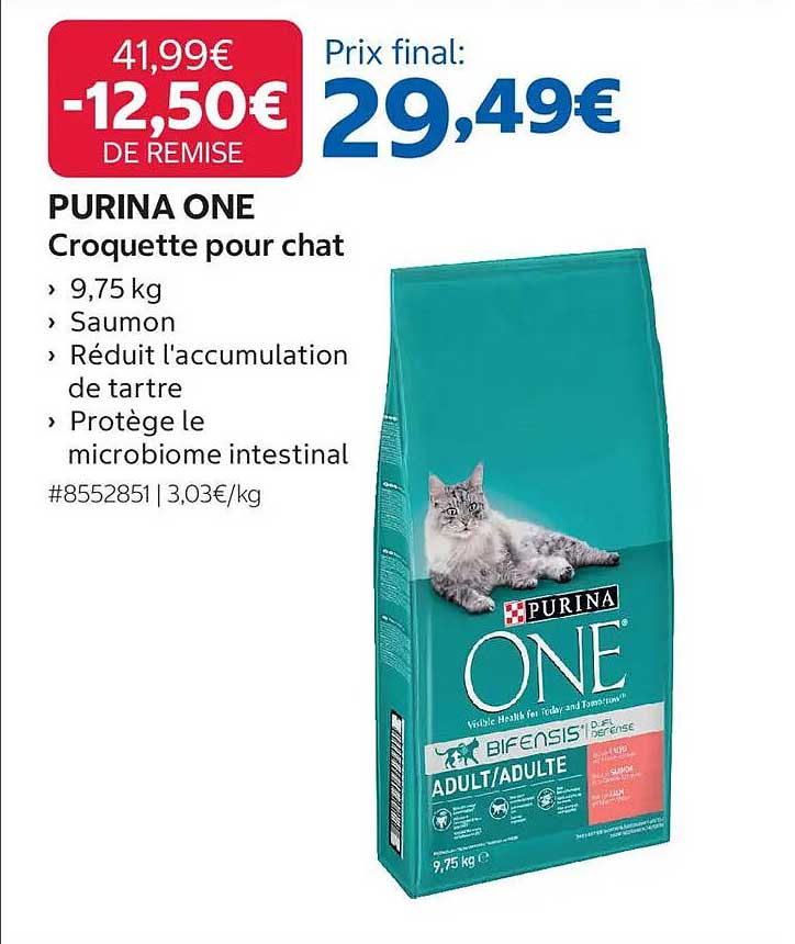 PURINA ONE Croquette pour chat