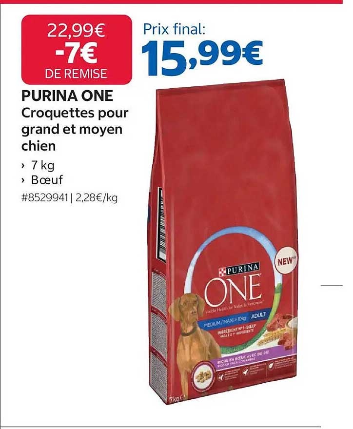 PURINA ONE Croquettes pour grand et moyen chien