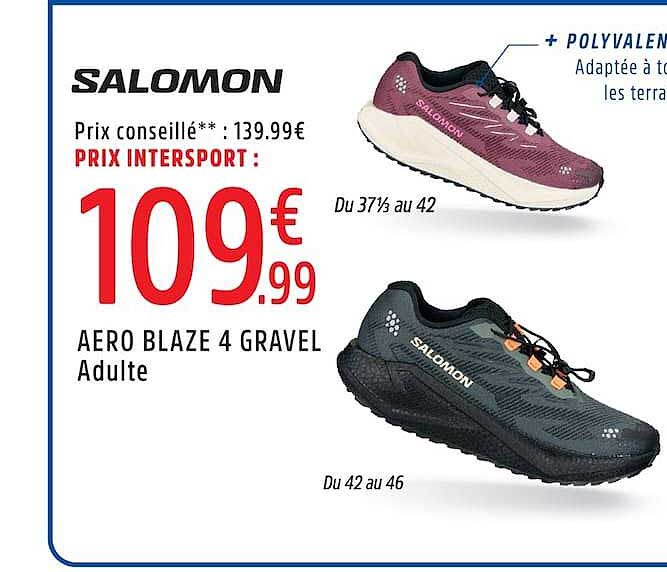 SALOMON AERO BLAZE 4 GRAVEL Adulte
