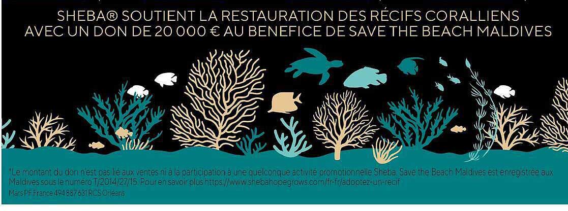SHEBA® SOUTIENT LA RESTAURATION DES RÉCIFS CORALLIENS AVEC UN DON DE 20 000 € AU BÉNÉFICE DE SAVE THE BEACH MALDIVES